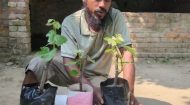 অল্প জায়গায়, সঠিক যত্নে আঙ্গুর গাছ থেকে ভালো ফলন - Image 5